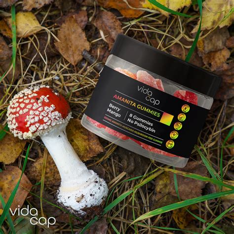 From Folklore to Reality: Amanita Muscaria Gummy's Role in Urban Legends